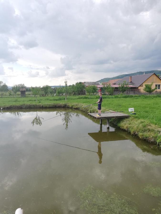 Kacso Apartma Ocna de Sus Exteriör bild