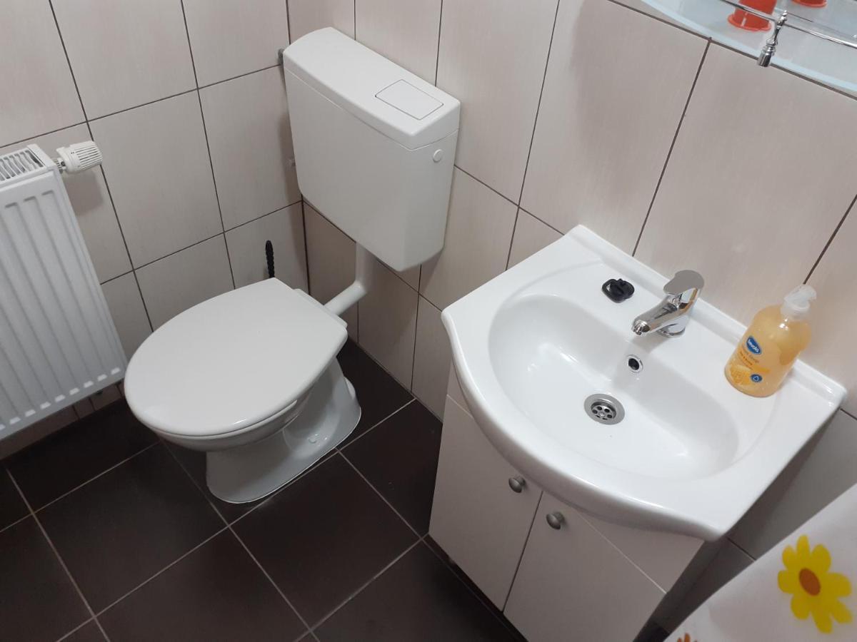 Kacso Apartma Ocna de Sus Exteriör bild