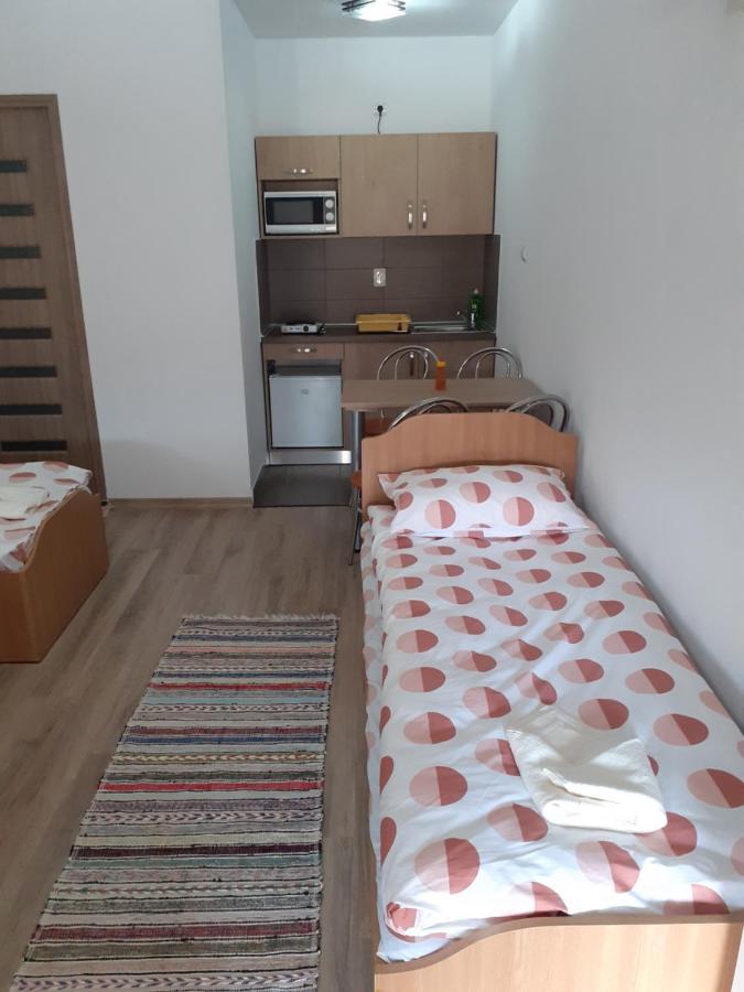 Kacso Apartma Ocna de Sus Exteriör bild