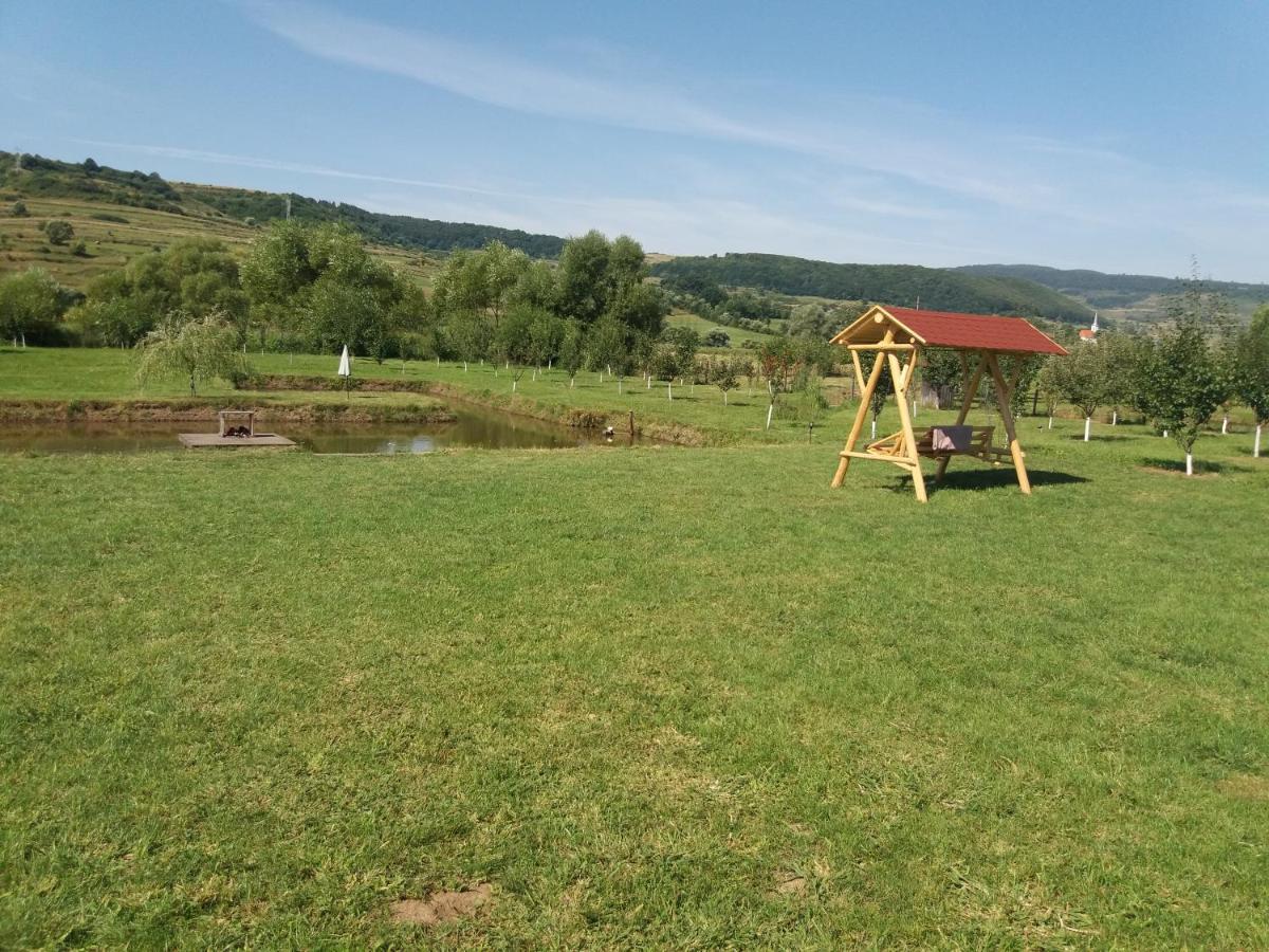 Kacso Apartma Ocna de Sus Exteriör bild