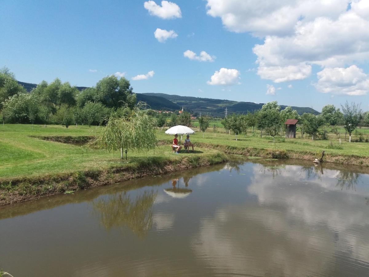 Kacso Apartma Ocna de Sus Exteriör bild