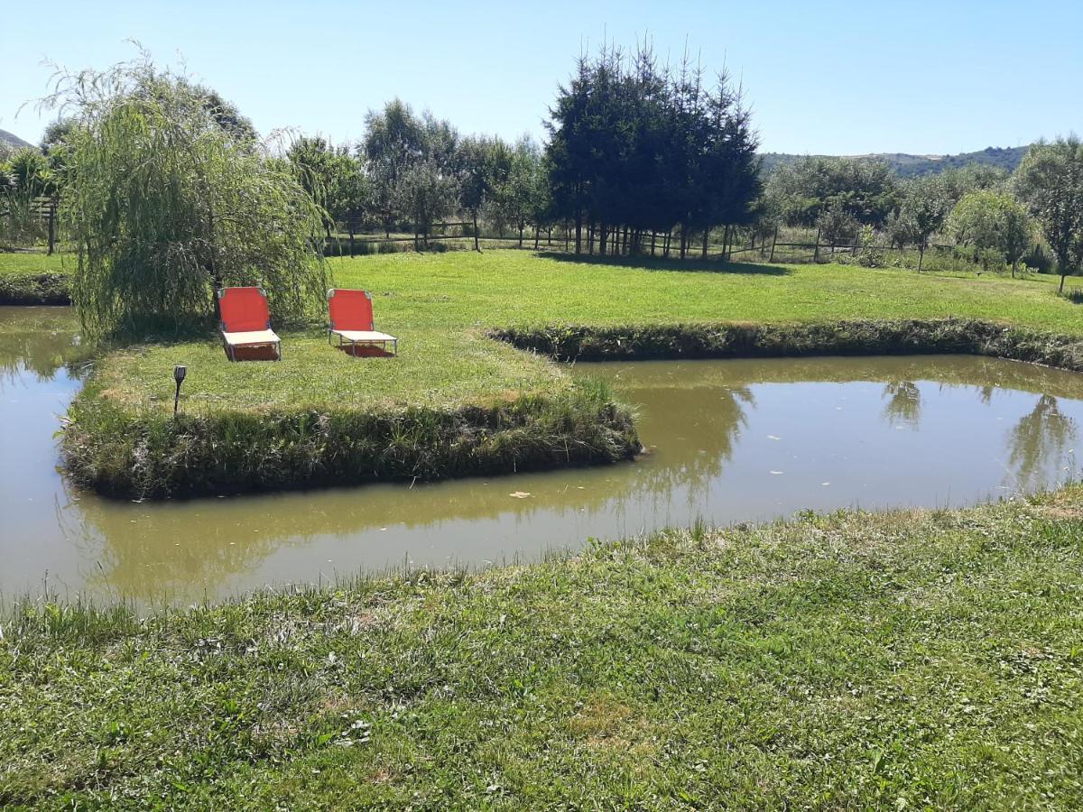 Kacso Apartma Ocna de Sus Exteriör bild