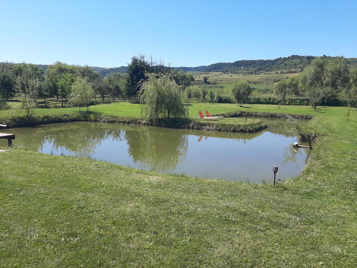 Kacso Apartma Ocna de Sus Exteriör bild