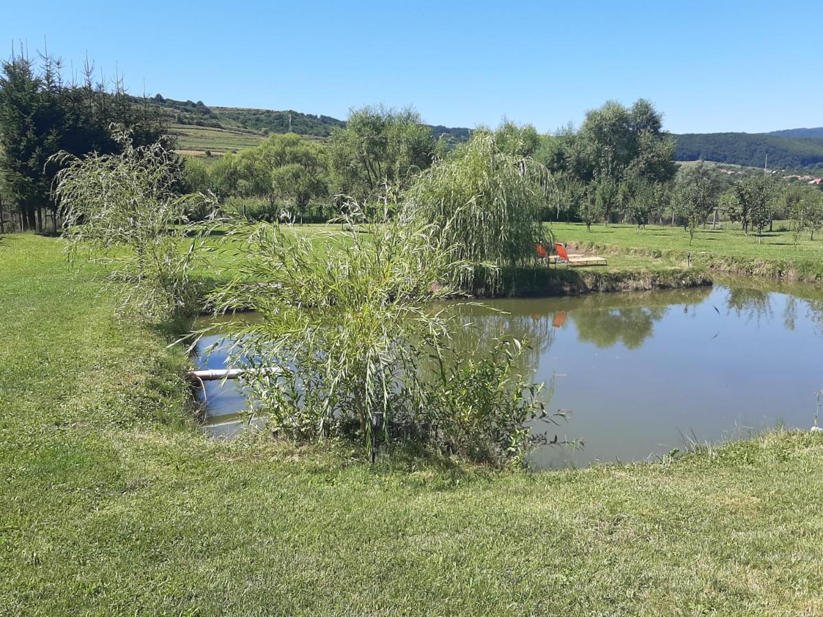 Kacso Apartma Ocna de Sus Exteriör bild