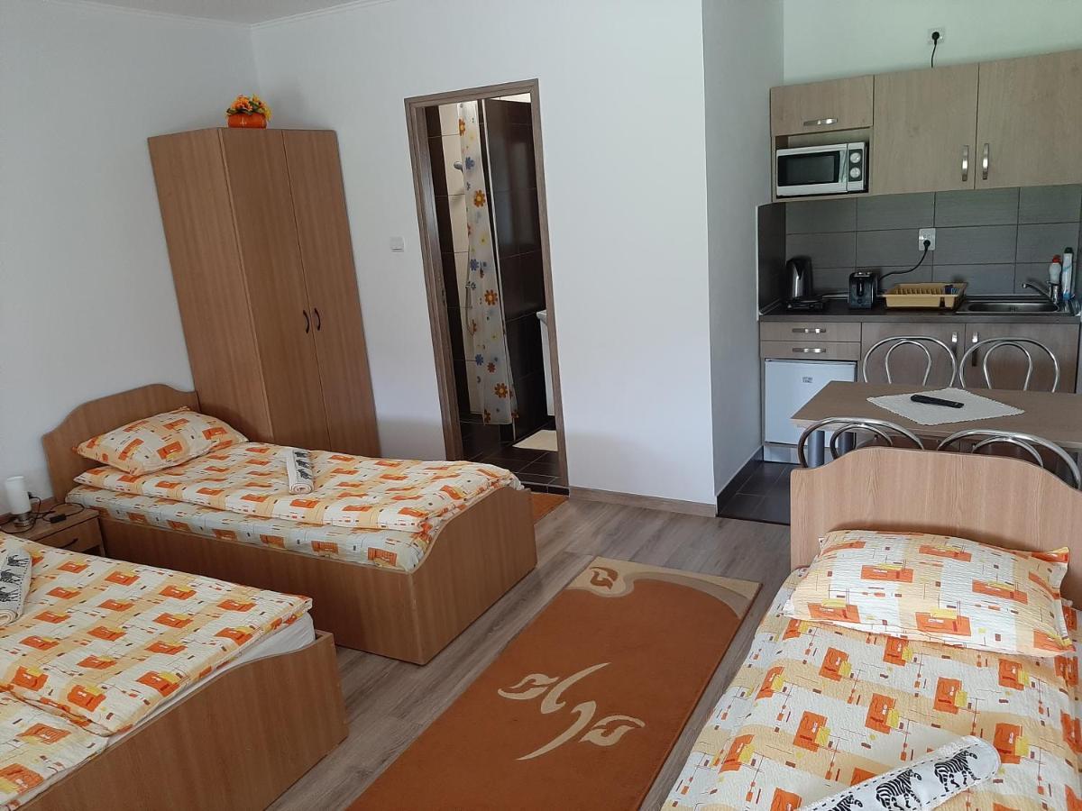 Kacso Apartma Ocna de Sus Exteriör bild